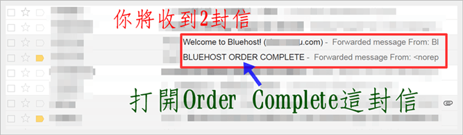 Bluehost 購買指南